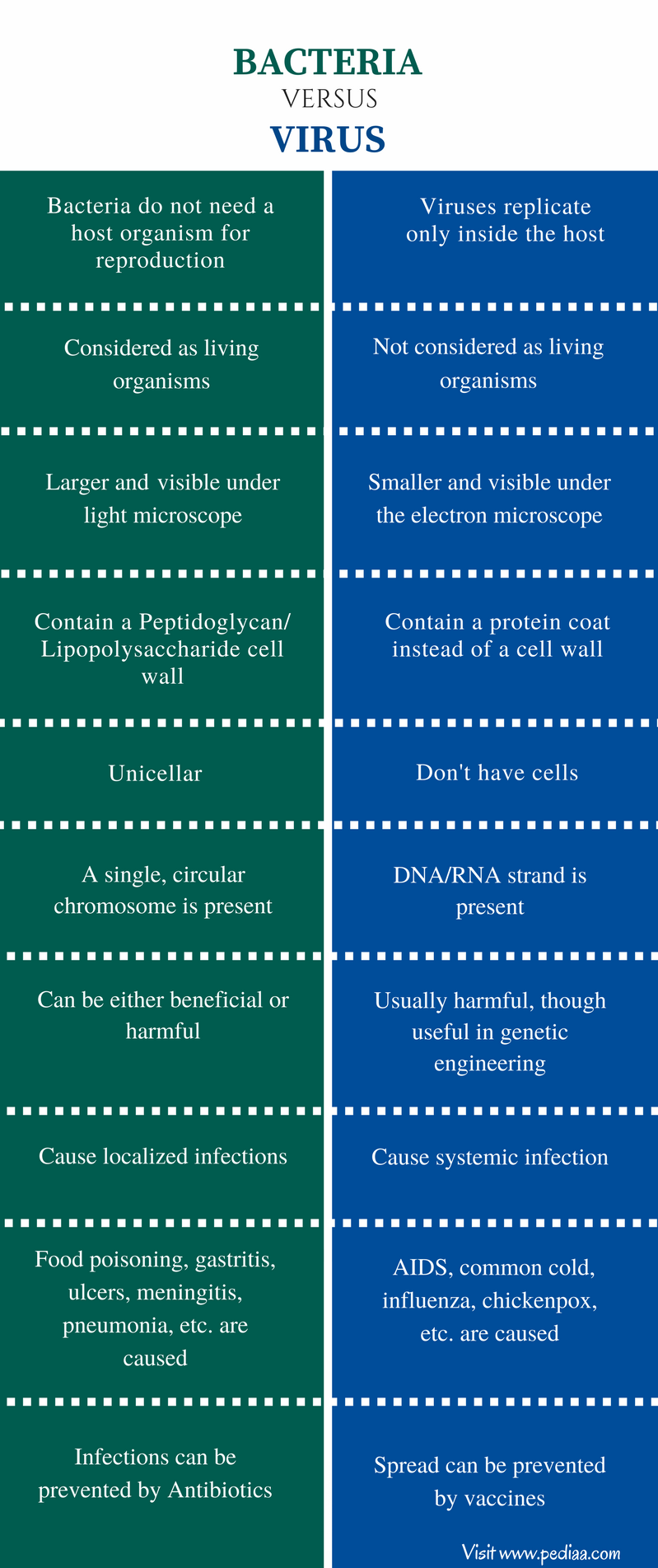 difference-between-bacteria-and-virus-classification-structure