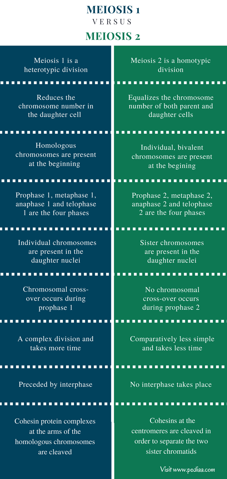 difference-between-meiosis-1-and-meiosis-2-stages-process-function