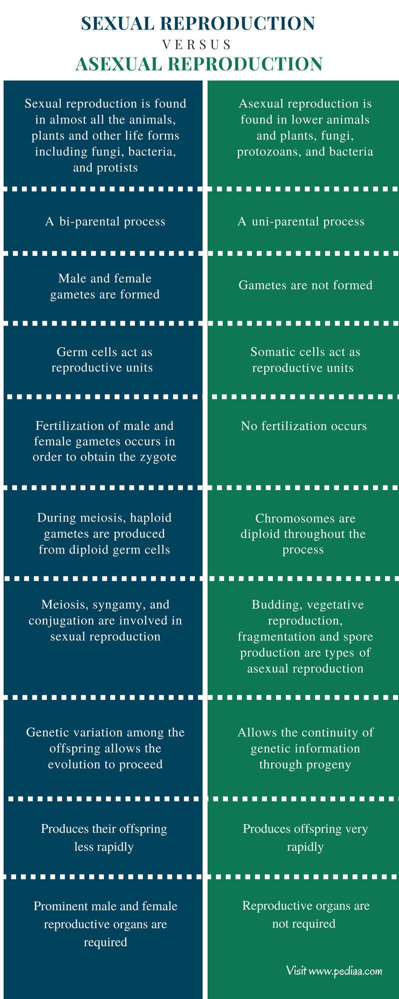 Difference Between Sexual and Asexual Reproduction Definition 