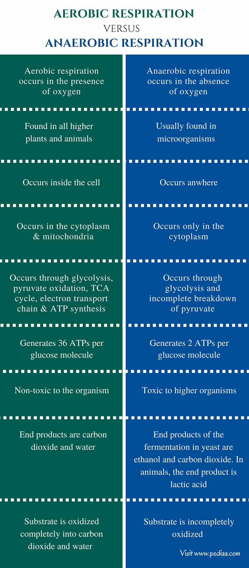 How Is Anaerobic Respiration Used In Sewage Treatment