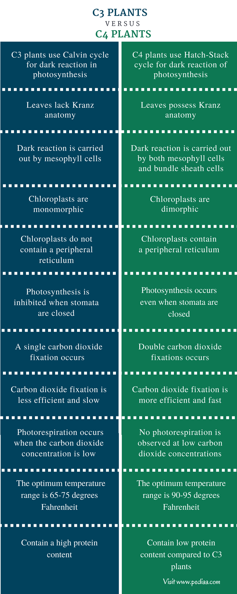 difference-between-c3-and-c4-plants-definition-characteristics