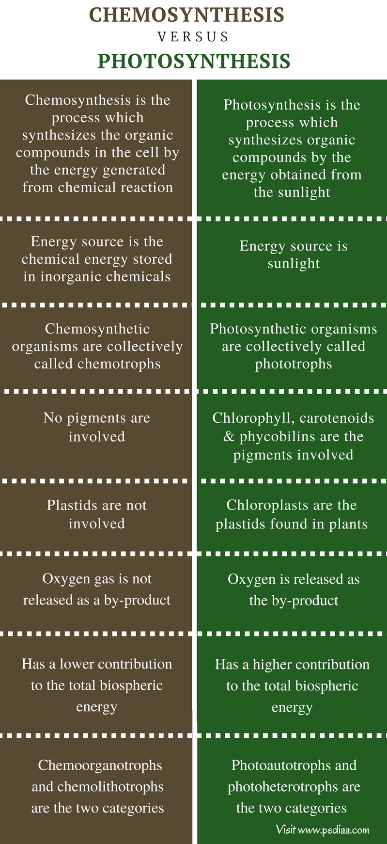 What is the source of energy for chemosynthesis?