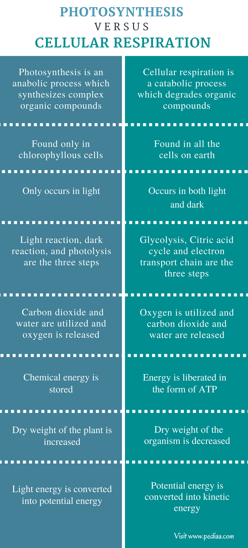 similarities-between-cellular-respiration-and-photosynthesis