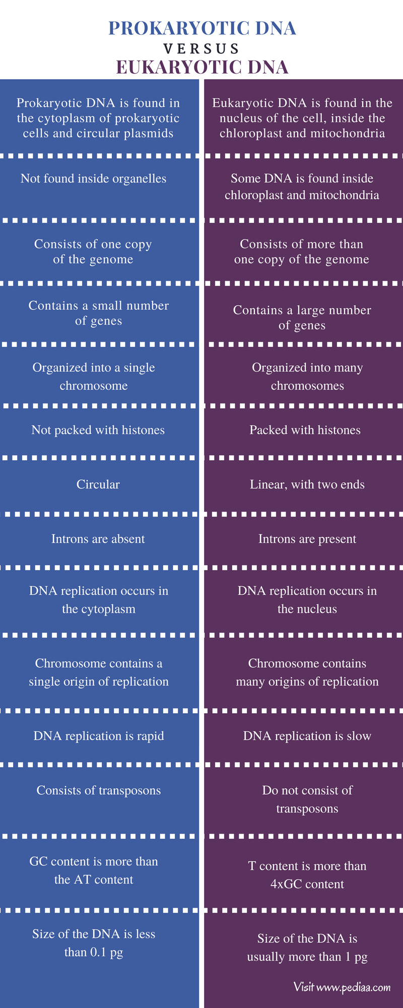 difference-between-prokaryotic-and-eukaryotic-dna-definition