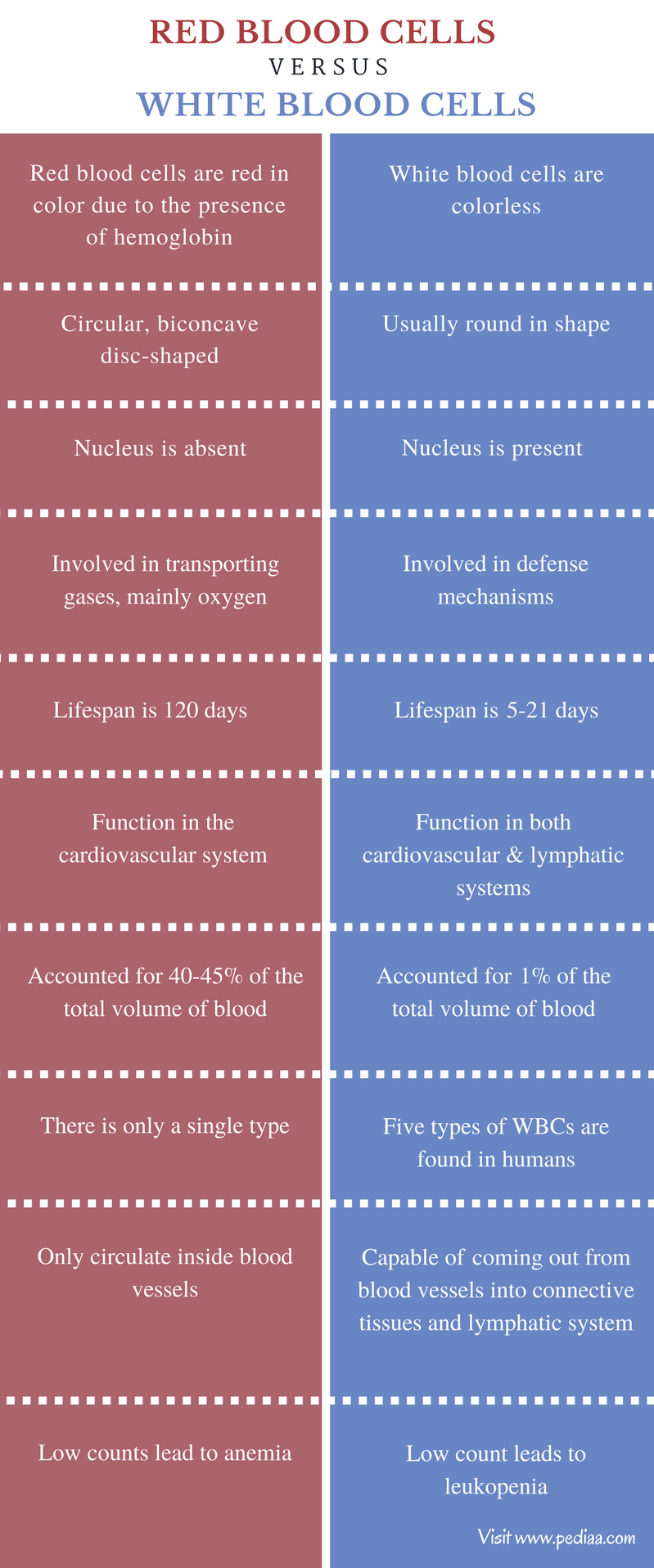 Compare And Contrast Red Blood Cells And White Blood Cells