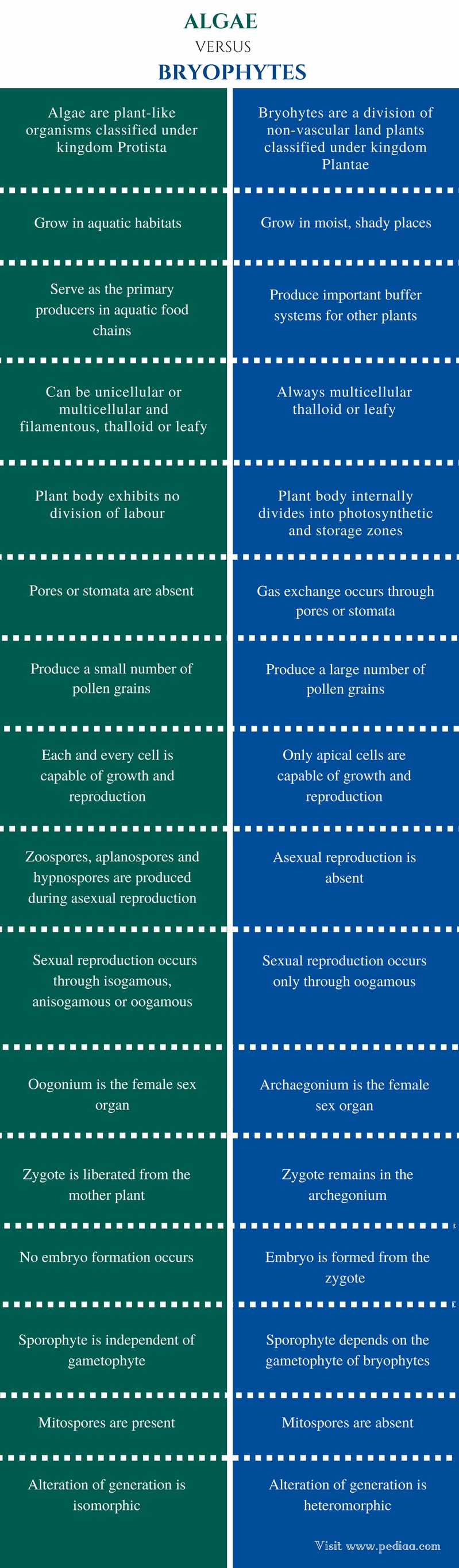 Difference Between Algae and Bryophytes Definition