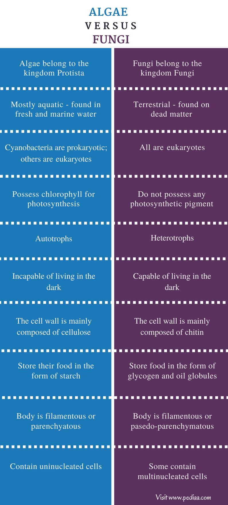 Difference Between Algae and Fungi Definition