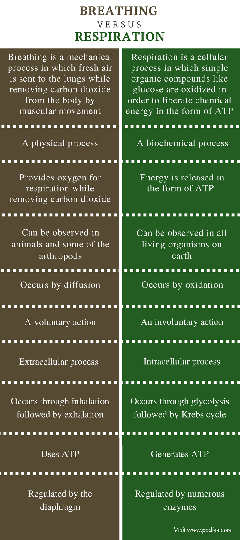 difference between respiration and cellular respiration