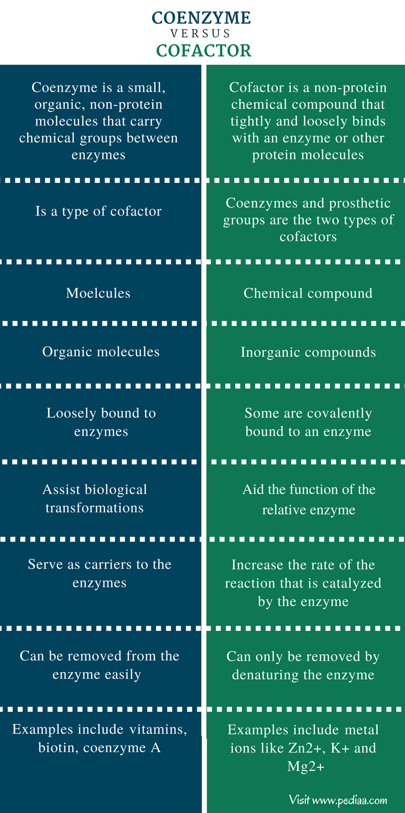 definition of prosthetic group with examples