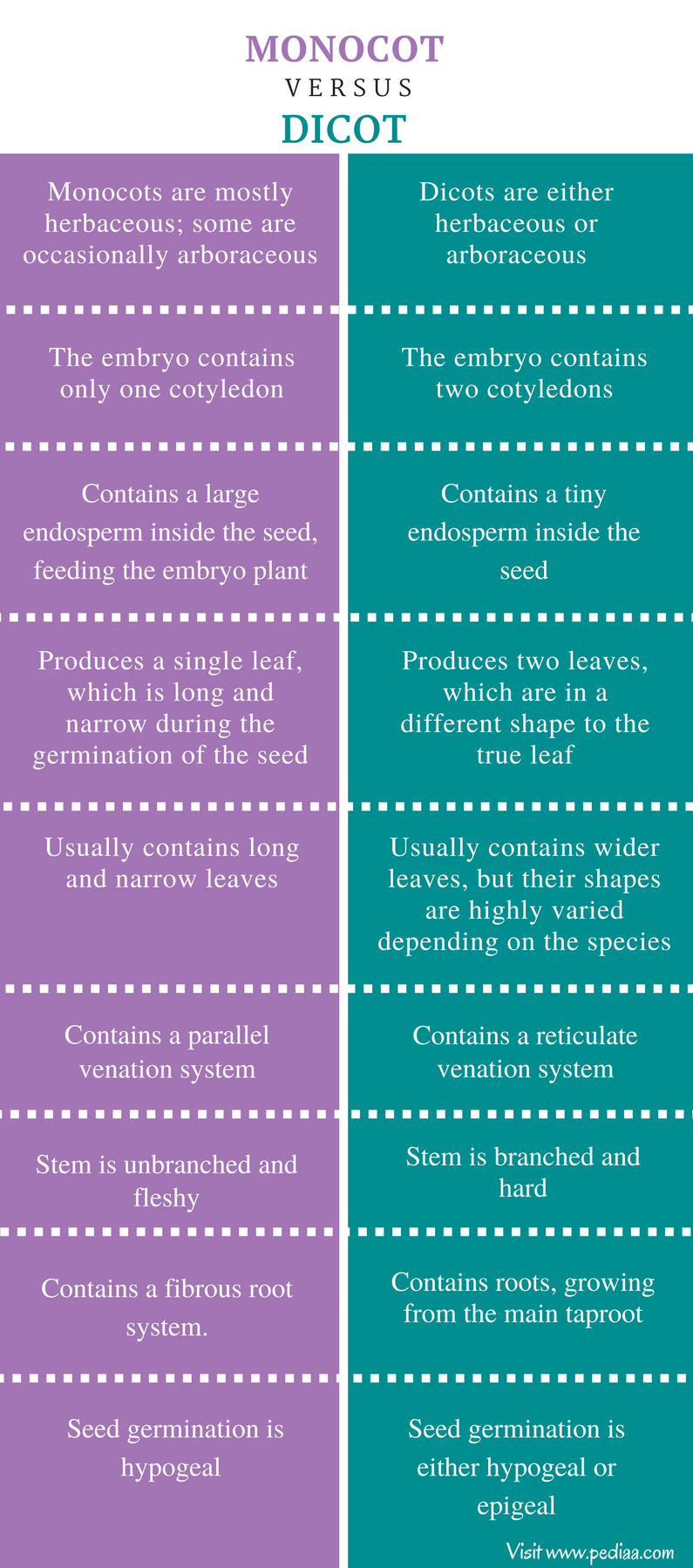 difference-between-monocot-and-dicot-definition-structure-features