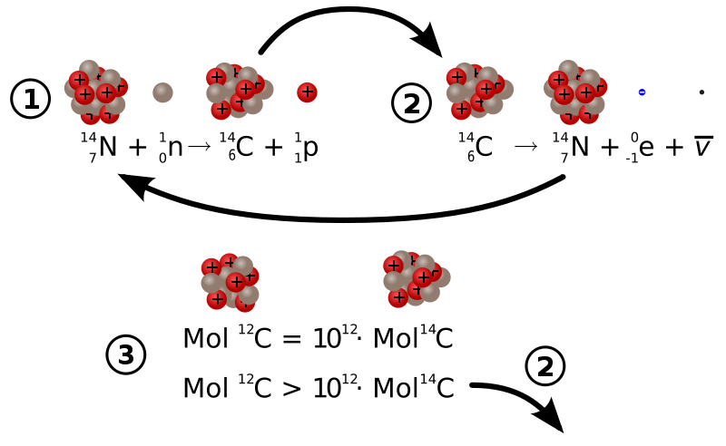 difference-between-carbon-12-and-carbon-14-definition-structure