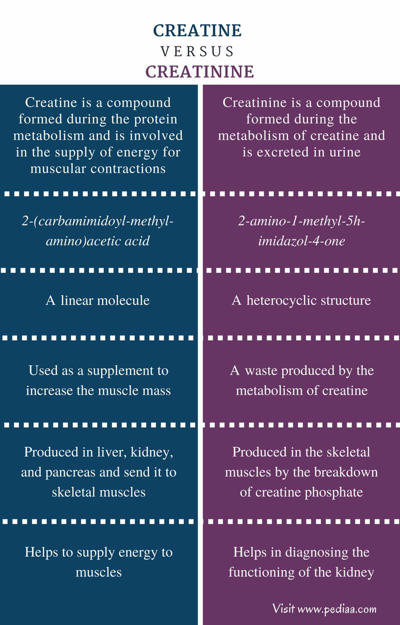 difference-between-creatine-and-creatinine-definition-features