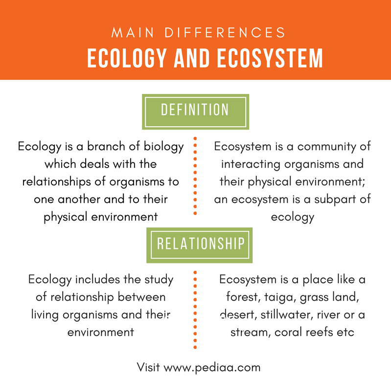 Difference Between Ecology and Ecosystem Definition, Structure, Role