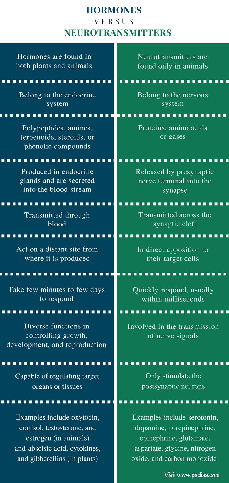 Difference Between Hormones And Neurotransmitters Definition