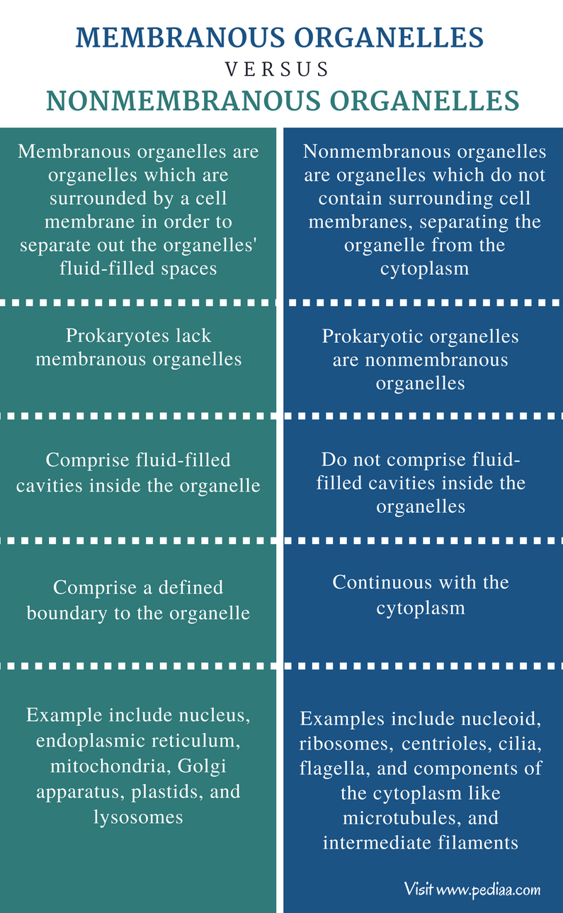 Difference Between Membranous And Nonmembranous Organelles Definition Types Characteristics