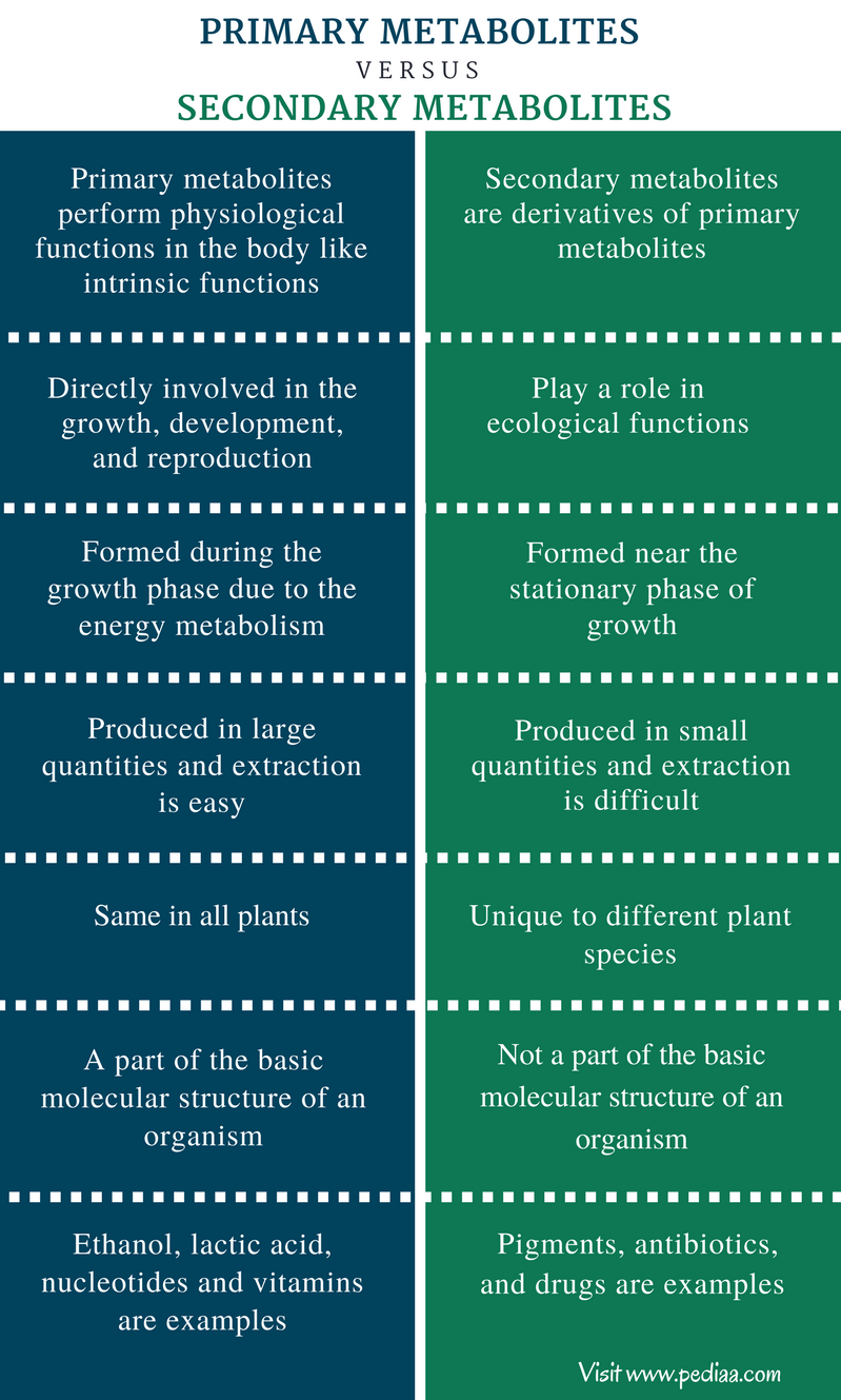 difference-between-primary-and-secondary-metabolites-definition