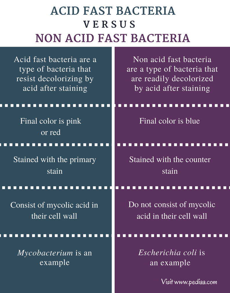 difference-between-acid-fast-and-non-acid-fast-bacteria-definition