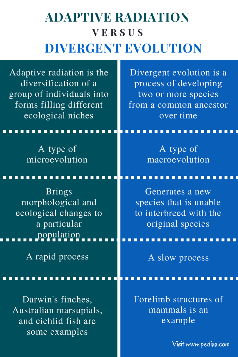 difference-between-adaptive-radiation-and-divergent-evolution