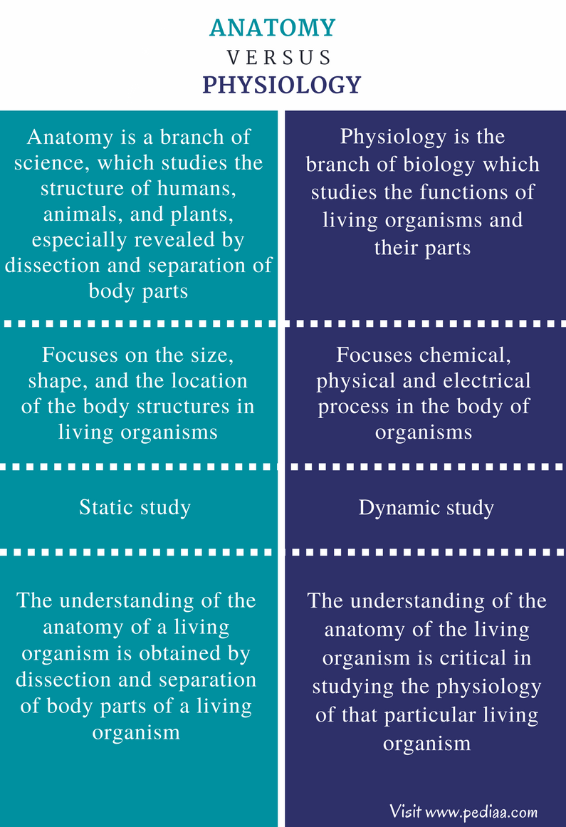 difference-between-anatomy-and-physiology-definition-classification