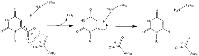 Difference Between Carbocation and Carbanion_Reactions of Carbanions_01