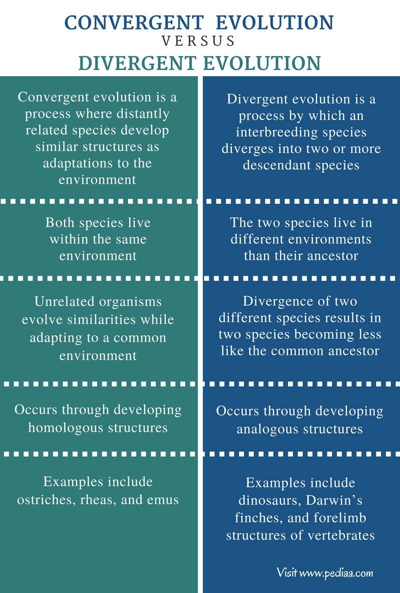 difference-between-convergent-and-divergent-evolution-definition