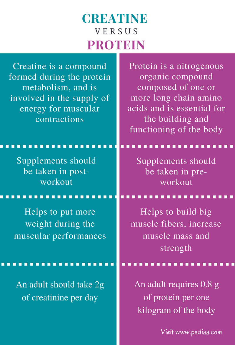 Difference Between Creatine and Protein Definition, Source