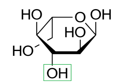 Difference Between D and L Glucose_Figure 7