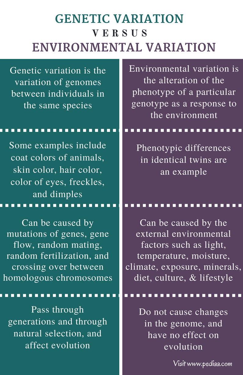 difference-between-genetic-variation-and-environmental-variation