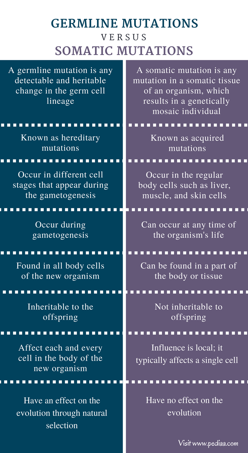 difference-between-germline-and-somatic-mutation-definition-features