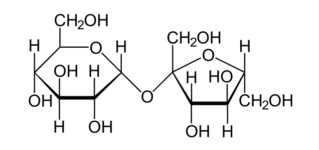 difference-between-monosaccharide-and-polysaccharide-compare-the