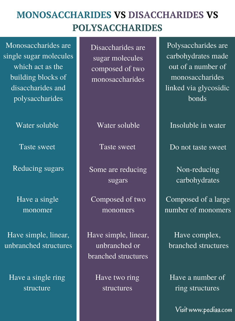 homopolysaccharides-biochemistry-notes-teachmint