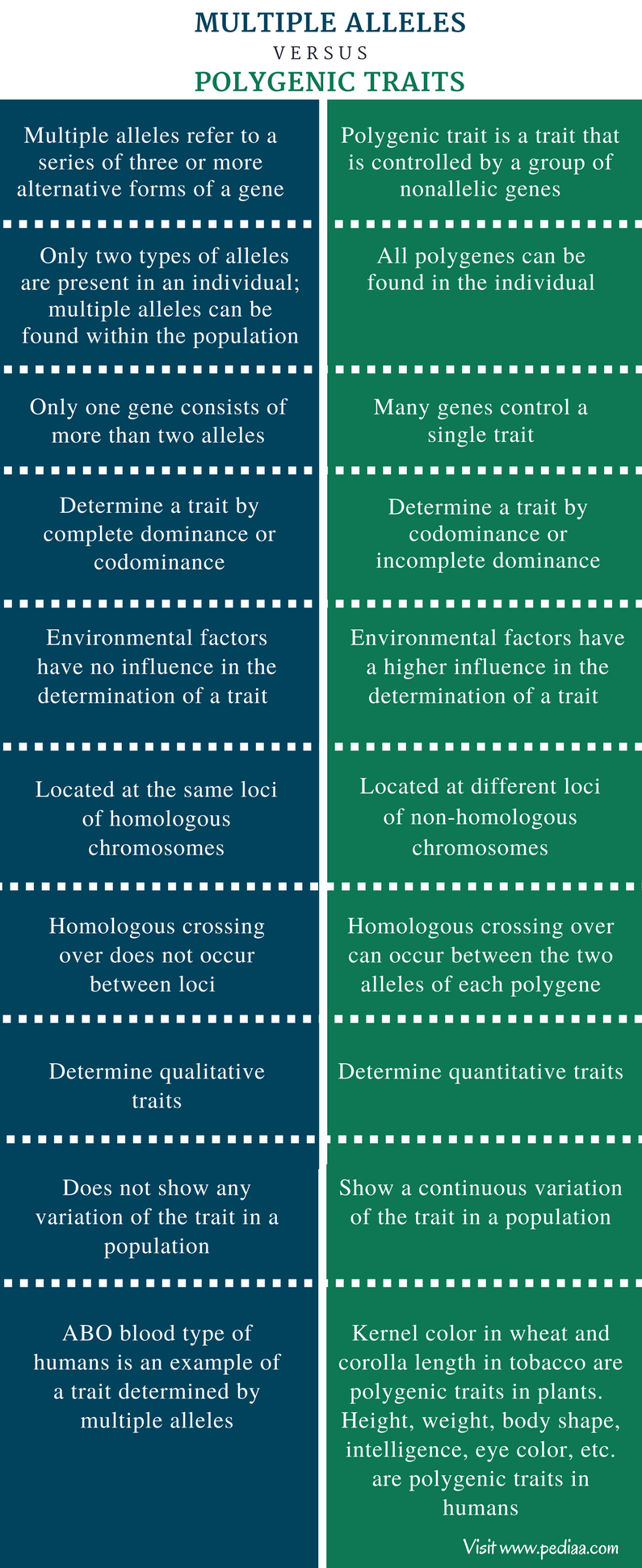 difference-between-multiple-alleles-and-polygenic-traits-definition