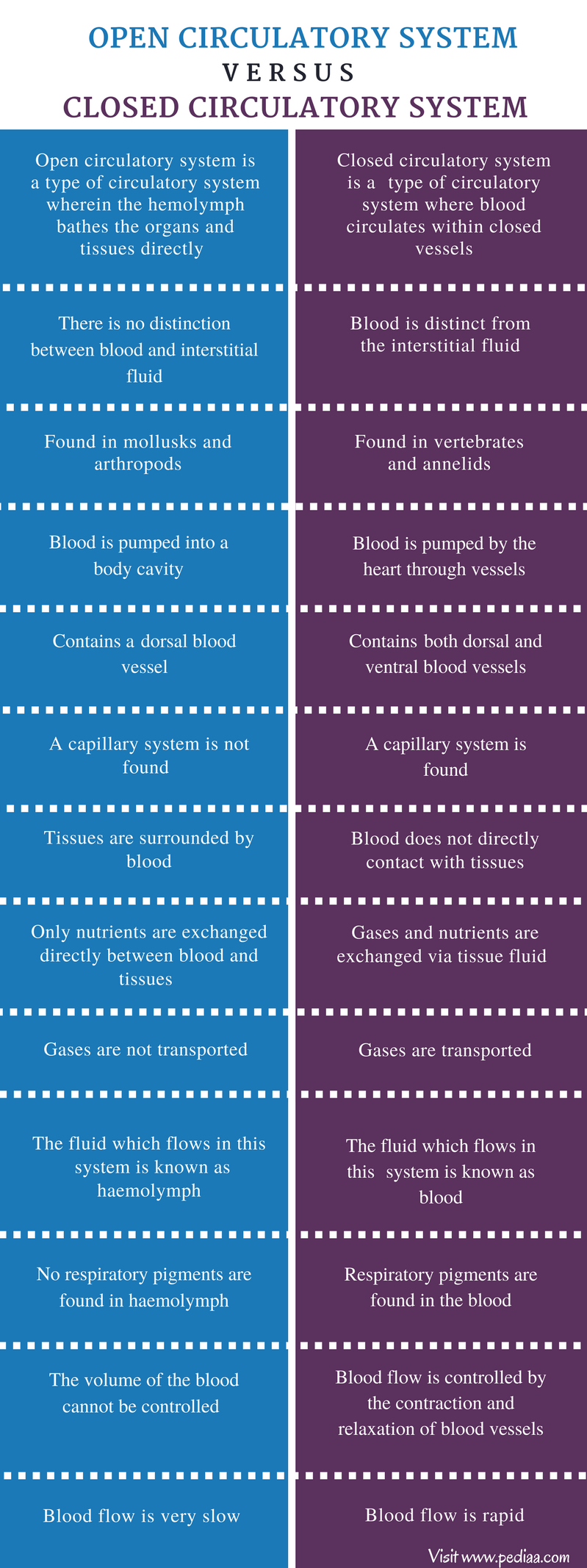 difference-between-open-and-closed-circulatory-system-definition