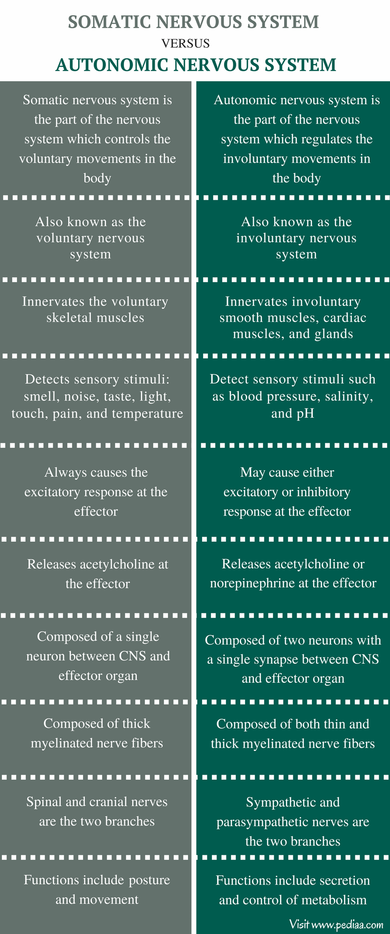 Sympathetic Nervous System Vs Parasympathetic Nervous System Chart