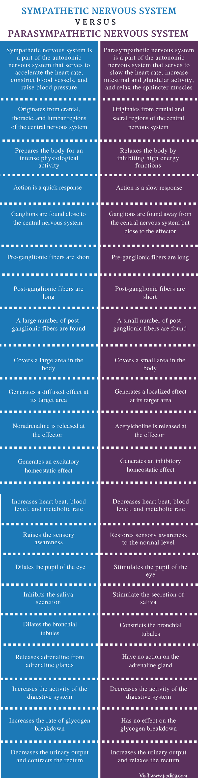 difference-between-sympathetic-and-parasympathetic-nervous-system-in