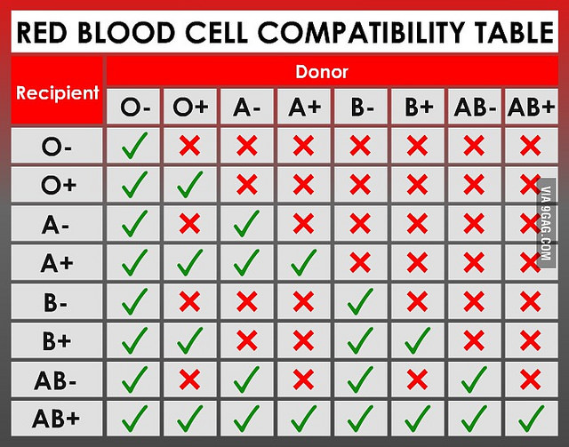 Difference Between Abo Blood Group And Rh Blood Group Definition Determination Types
