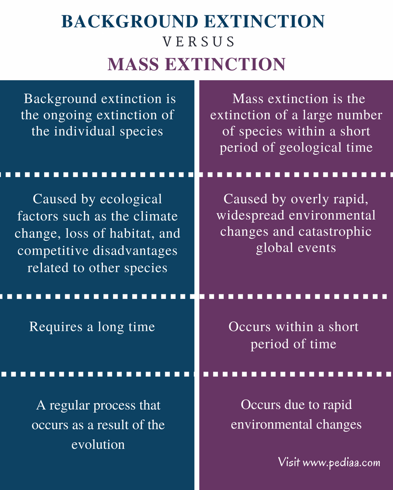 what-is-the-difference-between-background-extinction-and-mass