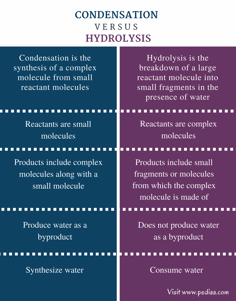 difference-between-condensation-and-hydrolysis-definition-mechanism