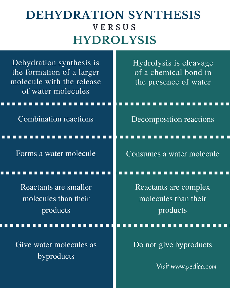 difference-between-dehydration-synthesis-and-hydrolysis-definition