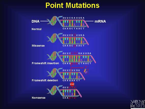 difference-between-gene-mutation-and-chromosomal-mutation-definition