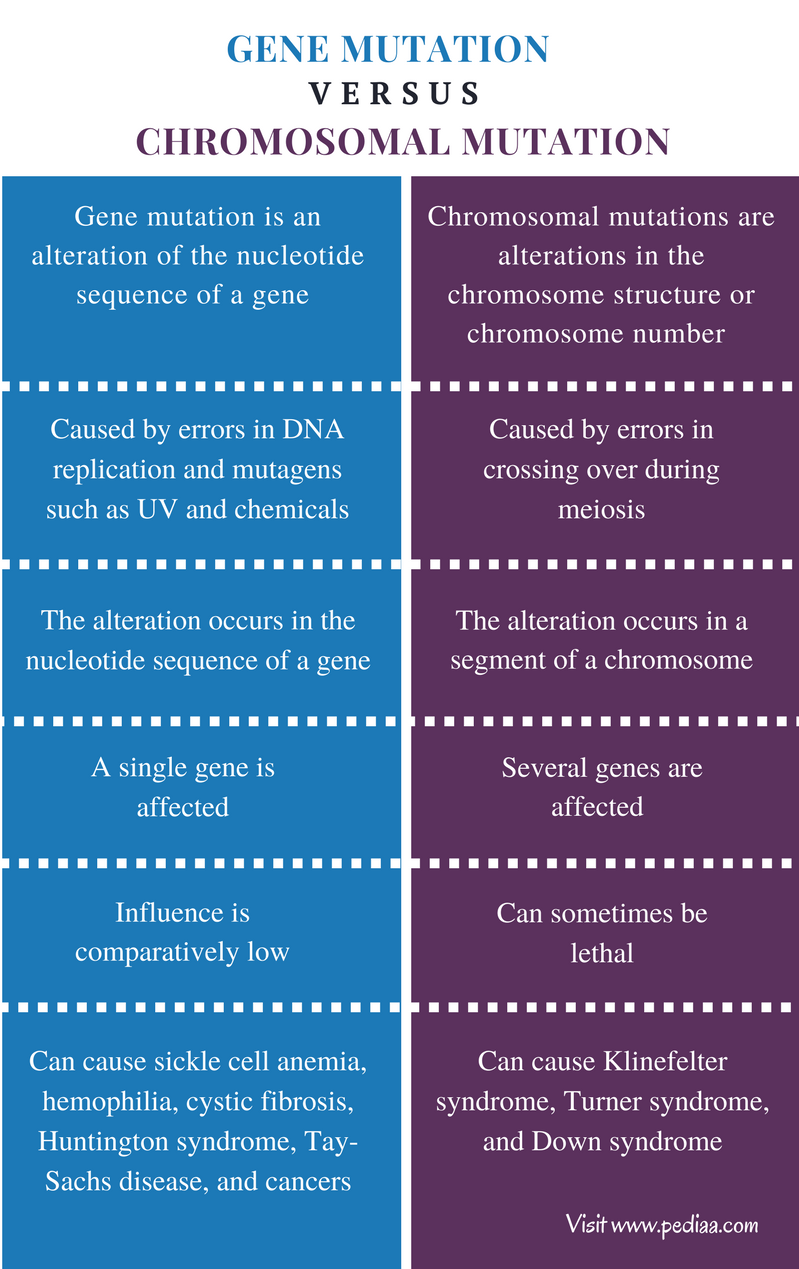 difference-between-gene-mutation-and-chromosomal-mutation-definition