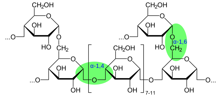 Difference Between Glycosidic Bond And Peptide Bond Definition Formation Properties