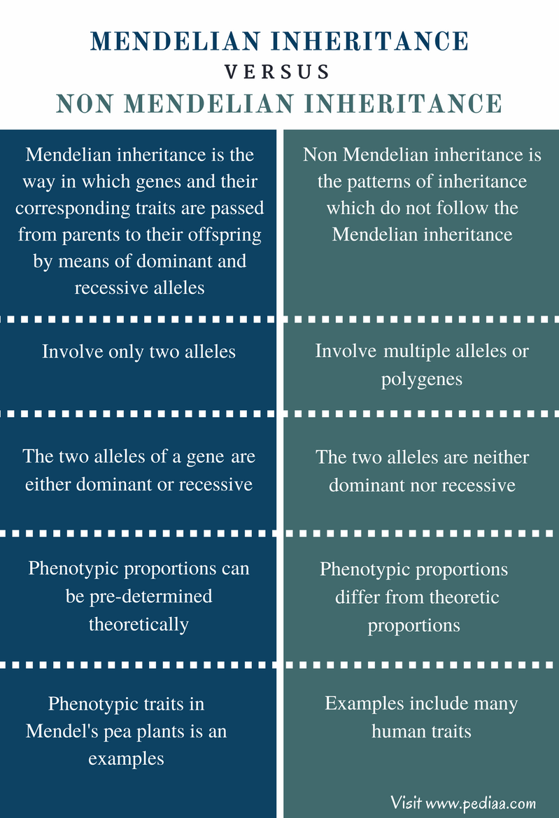 Difference Between Mendelian And Non Mendelian Inheritance Definition 