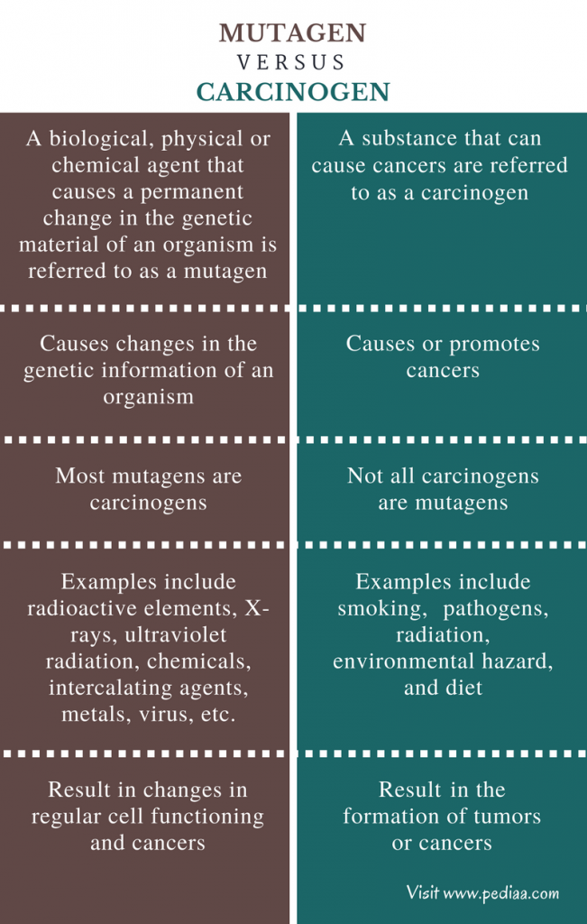 Difference Between Mutagen And Carcinogen Definition Causative Agents Function Effect