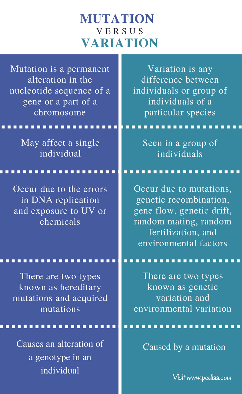 what are two types of factors that cause mutations