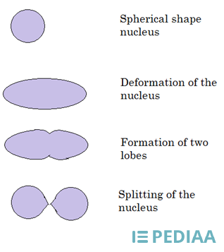 Difference Between Nuclear Fission and Fusion_Figure 01