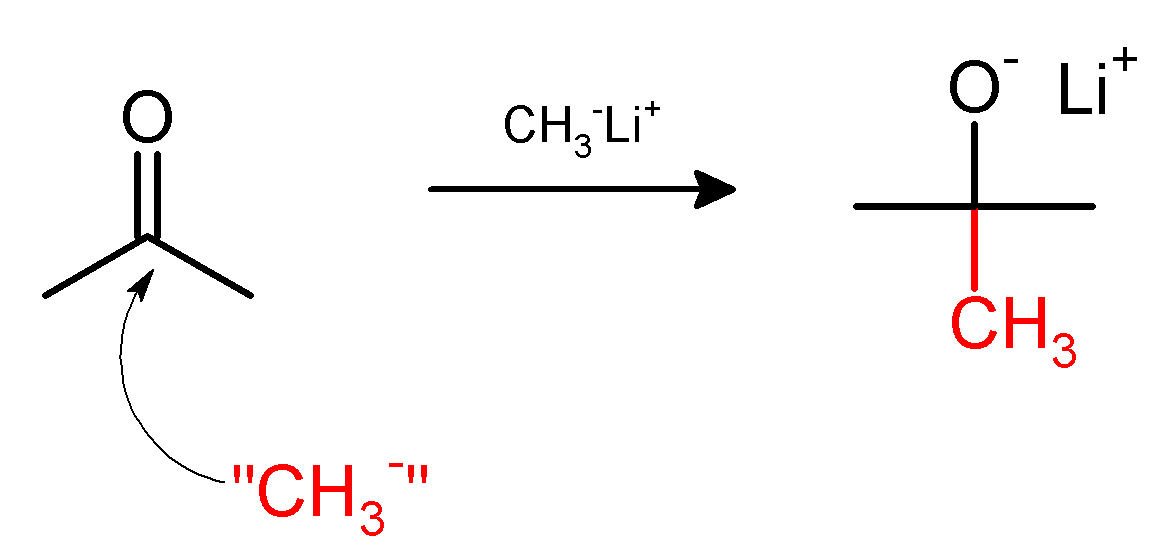Main Difference - Acetylation vs Methylation