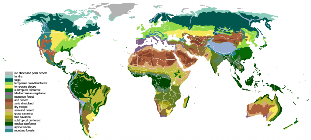 Difference Between Biome and Ecosystem