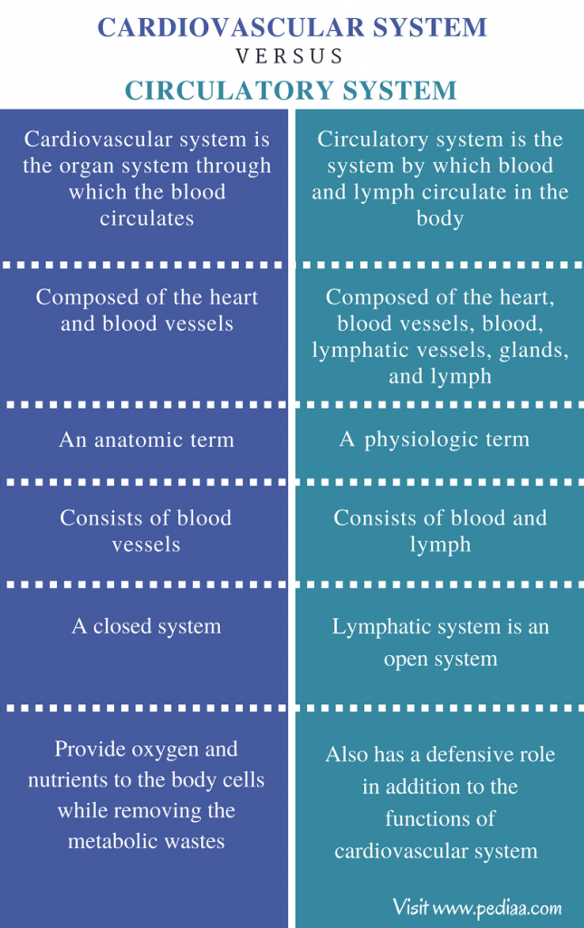 Difference Between Cardiovascular and Circulatory System | Definition