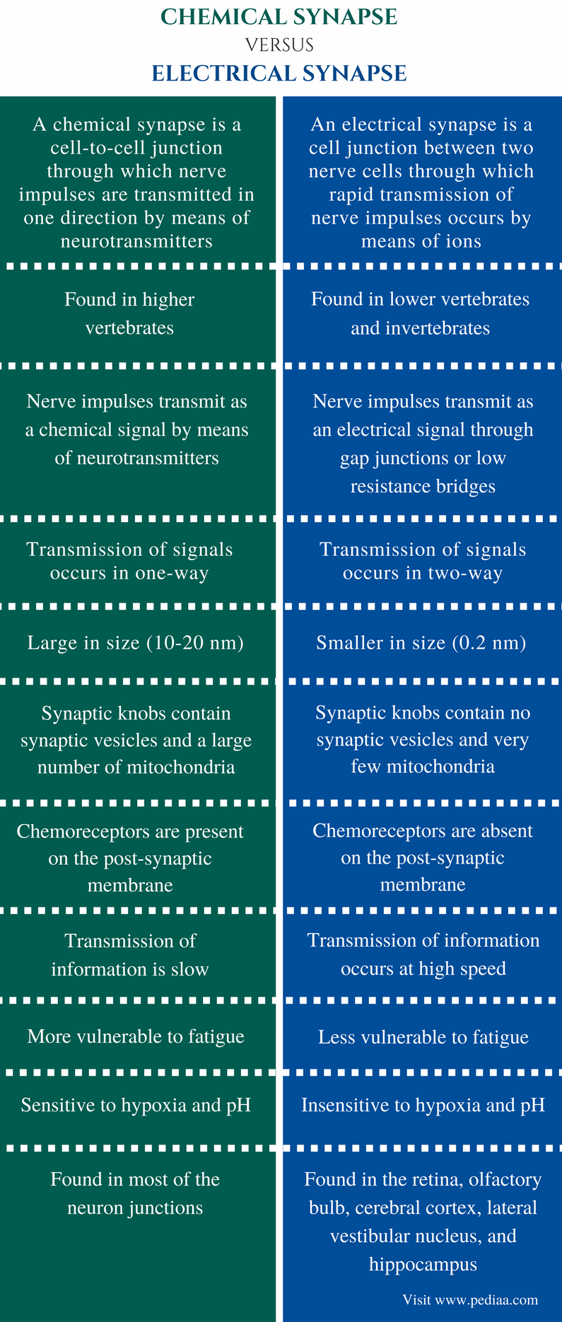 advantages-of-chemical-synapse-aronafeparker